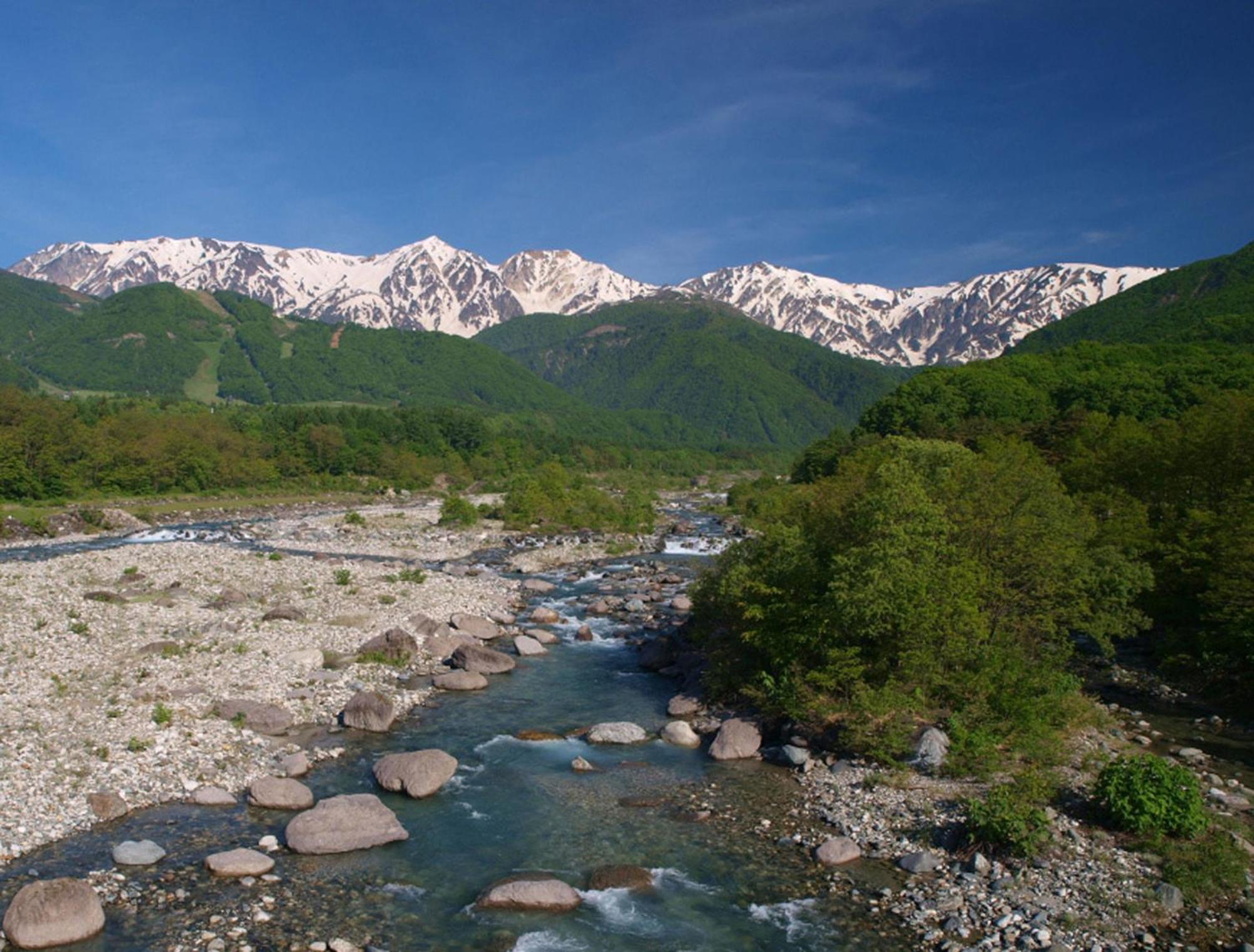 Hakuba Mominoki Hotel Eksteriør billede
