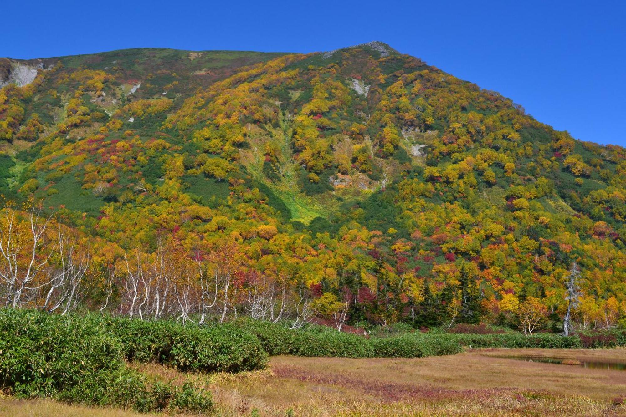 Hakuba Mominoki Hotel Eksteriør billede